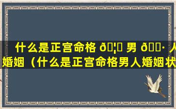 什么是正宫命格 🦁 男 🌷 人婚姻（什么是正宫命格男人婚姻状况）